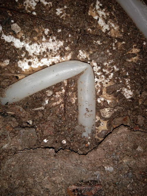 澄江堵点精准查找